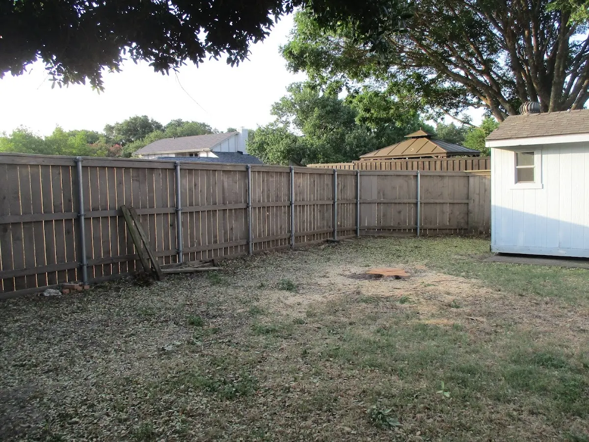 Cleared yard after professional tree removal in Mc Lean